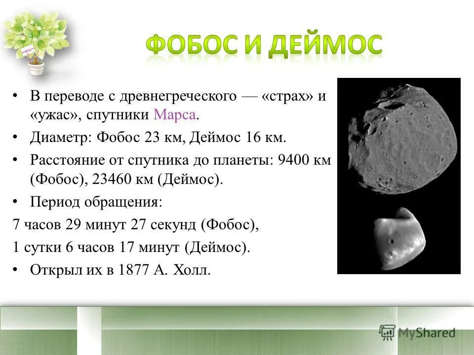 Вид фобоса и деймоса с марса. Спутники марса информация. Марс фобос и деймос. Период обращения спутника марса. Спутники марса фобос и деймос.