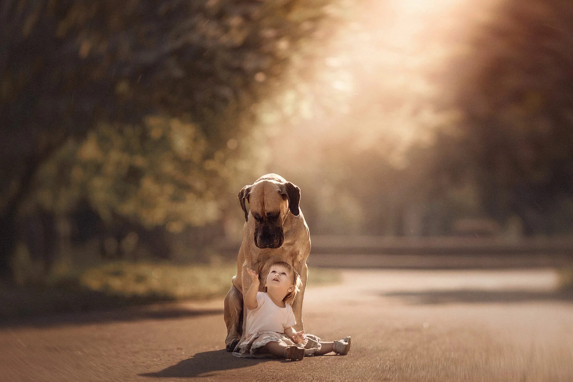 Люблю больших собак. Энди Селиверстов фотограф. Самые трогательные картинки. Трогательный щенок.