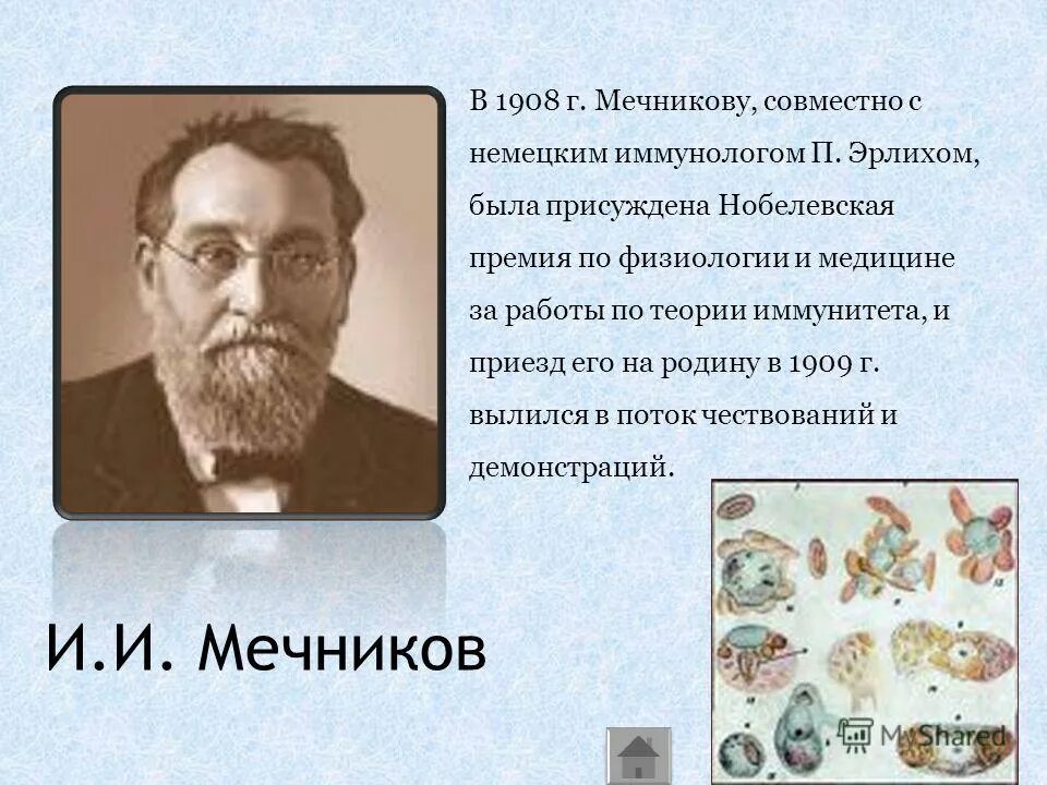 Его труды совместно с эрлихом. И. Мечников вклад в микробиологию. Вклад мечникова в развитие микробиологии. Мечников нобелевская премия.