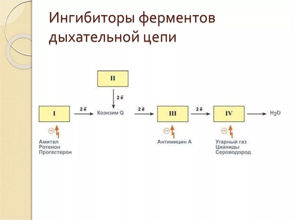 Блокаторы ферментов. Ингибиторы 1 комплекса дыхательной цепи. Ингибиторы 5 комплекса дыхательной цепи. Ингибитором IV комплекса дыхательной цепи. Дыхательная цепь биохимия.