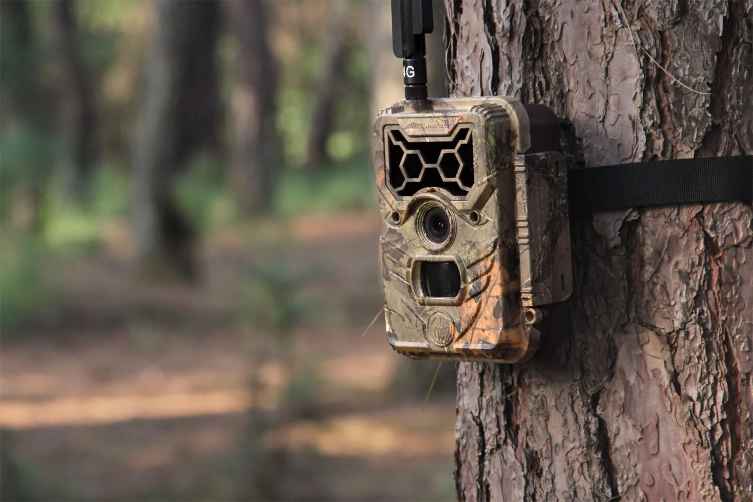 Трейл камера. Pigitain trail camera. Фотоловушка hunting trail. Фотоаппарат с играми. Bresser gmbh фотоловушка.