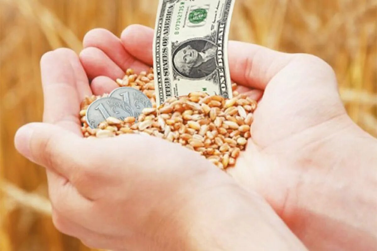 Зерно достатка. Зерно деньги. сельхозпродукты зерно?.