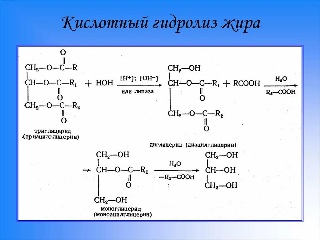 Щелочный гидролиз. Олеопальмитостеарин кислотный гидролиз. Щелочной гидролиз жира c15h31. Кислотный гидролиз продукт гидролиза. Кислотный гидролиз фосфатидилсерина реакция.