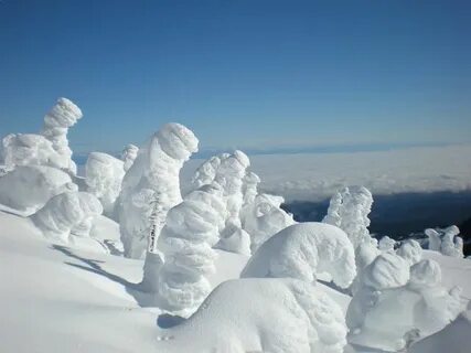 Snow forecast