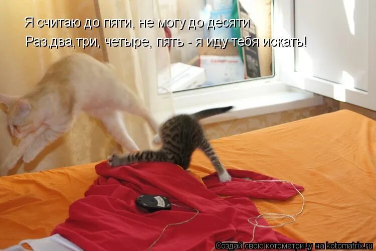 Считалочка с цифрами. Меняю жену. Детские стихи считалки. Я считаю до пяти не могу до десяти. Математические считалки в первом классе.