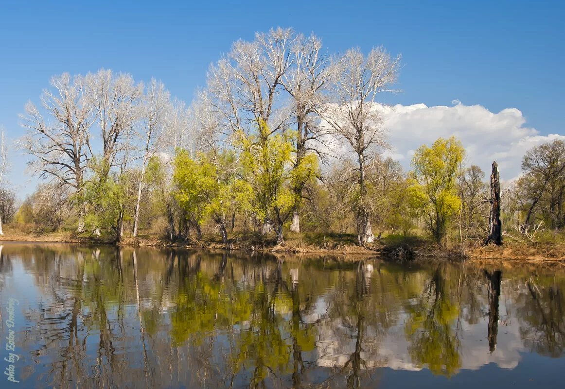 Весенний пейзаж. Поздняя весна. Ранняя весна. Весенний нн. Весенний нн.