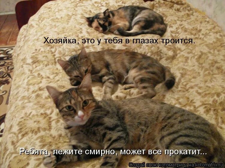 Лежат в постели. Спящий человек. Смешные солдаты в армии. Поза сна на спине. Поза сна лежа на спине.