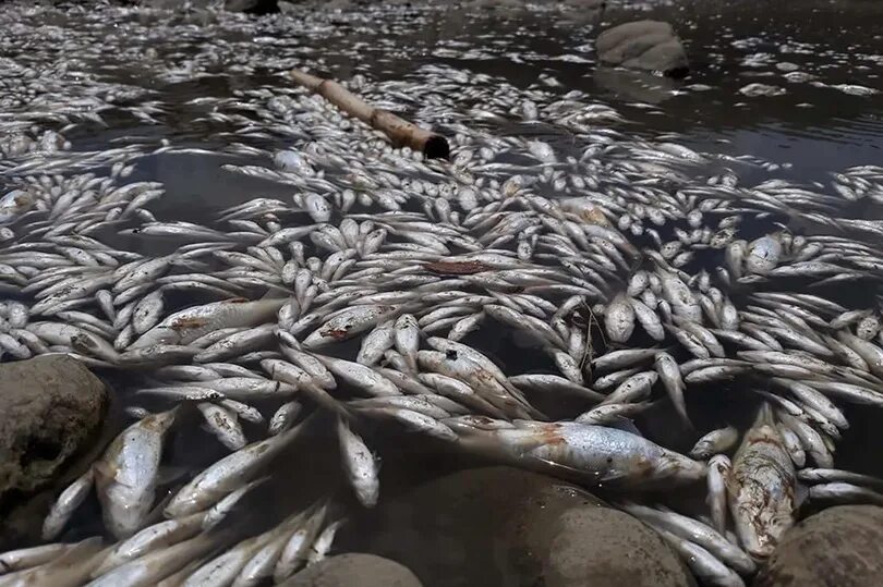 Люди перегородили реку большой плотиной вода. Верша перекрывающая реку.