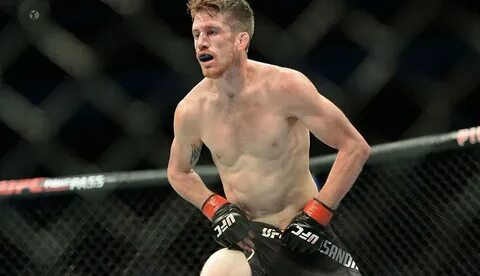 Ufc sandhagen nurmagomedov