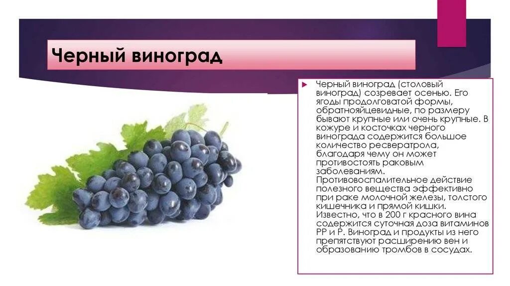 Виноград зеленый польза. Калорийность винограда кишмиш. Виноград фишниш углеводы. Виноград кишмиш черный витамины. Виноград кишмиш килокалории.