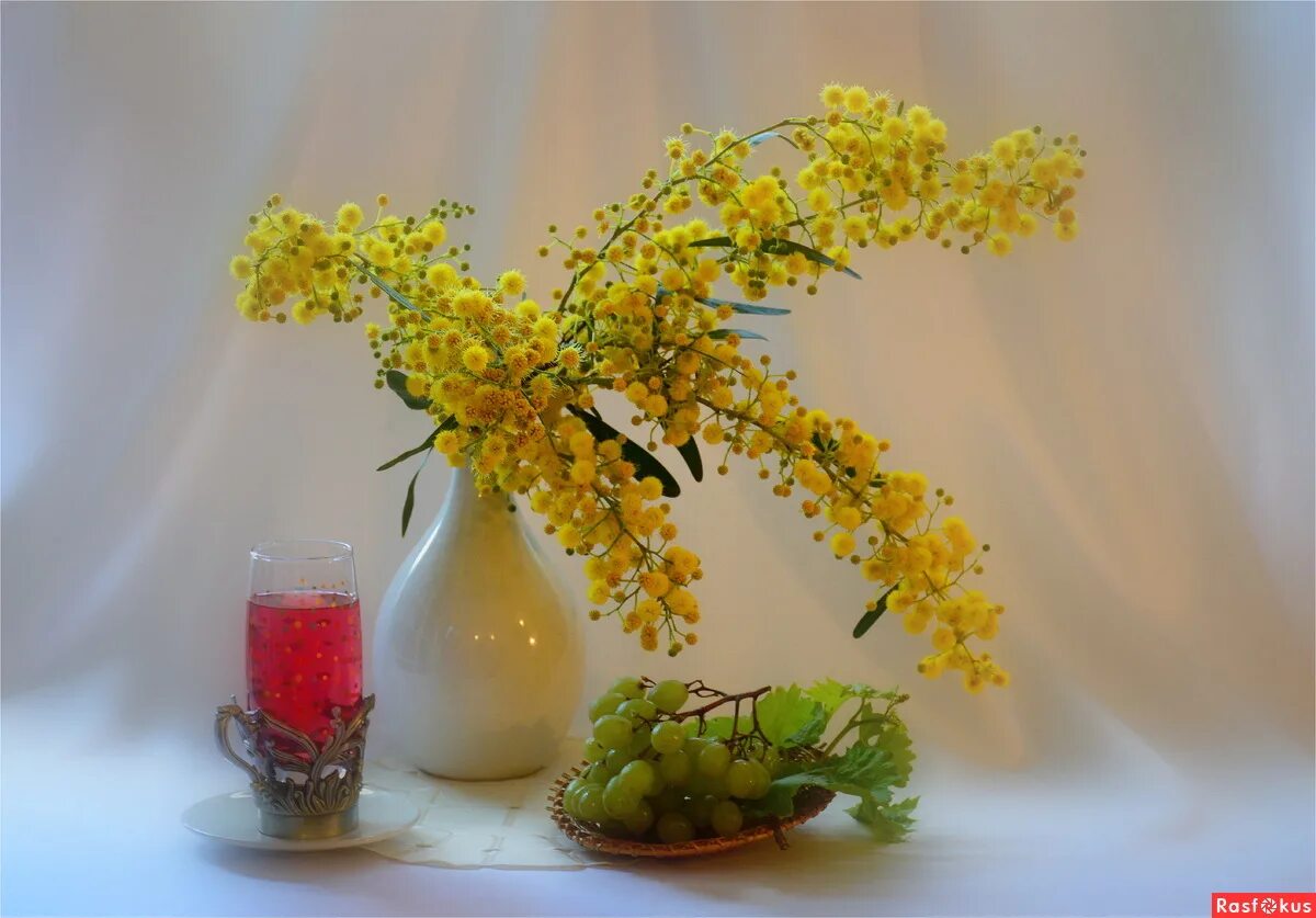 Мимозу нужно ставить в вазу с водой. Натюрморт с мимозой. Мимоза в вазе цветок. Ваза с мимозой. Веточка мимозы в вазе.