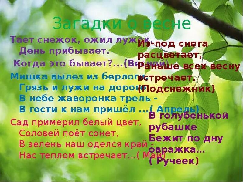 Тает снежок ожил. Загадки про весну. Весенние загадки. Загадки о весне для 2 класса. Загадки про весну короткие.