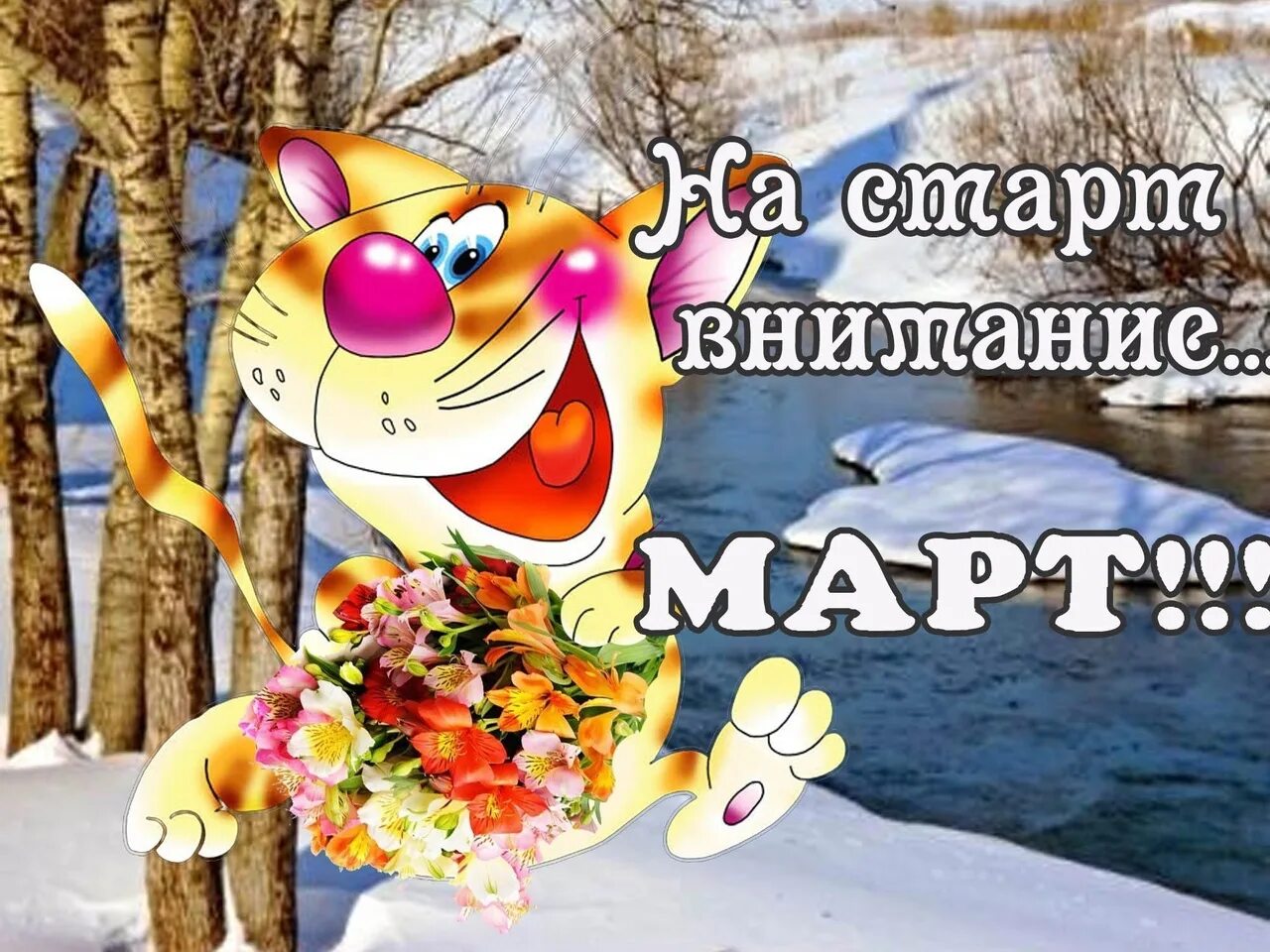 На старт внимание. Мужчины! на старт! внимание! март!. На старт внимание март кот. На старт внимание март. Мужчины! на старт! внимание! март!.