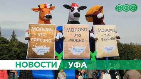 Когда будет молочная страна в уфе