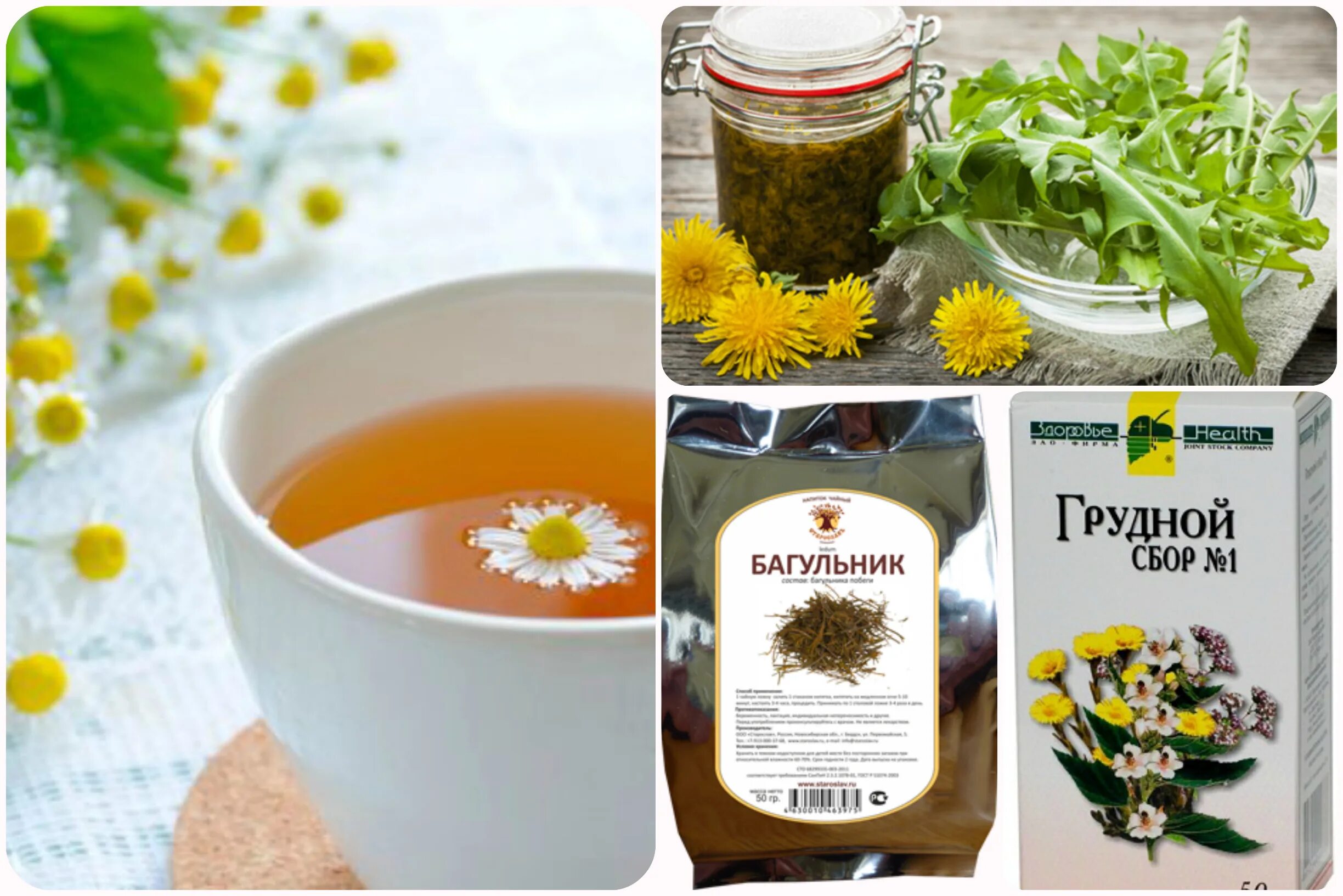 Какую траву можно пить от кашля. Грудной сбор травы. травяной сбор от кашля. фиточай грудной. чай грудной сбор от кашля.