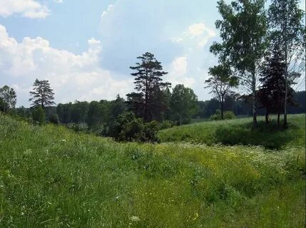 Зеленый борок курганская область
