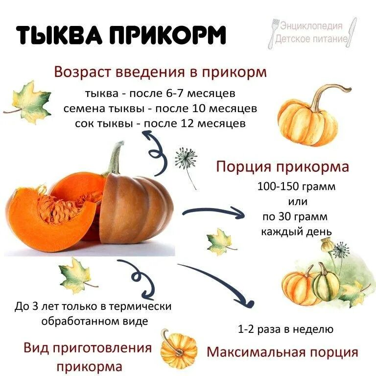 Тыква кормящим. Тыква для прикорма грудничка. как приготовить тыкву для прикорма 6 месяцев. как готовить тыкву для прикорма ребенку 1 год. морковь и тыква введение в прикорм.