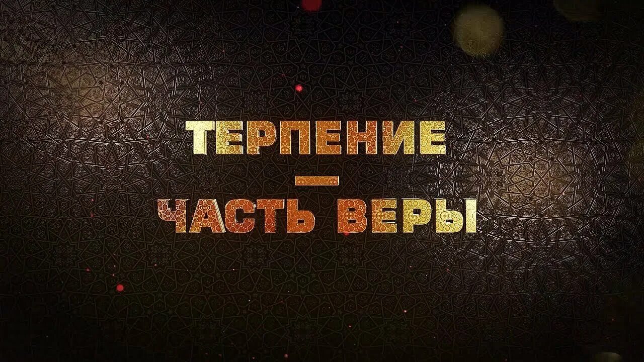 Терпение. Терпение картинки. Терпение иллюстрация. Обои терпение. Про терпеливых