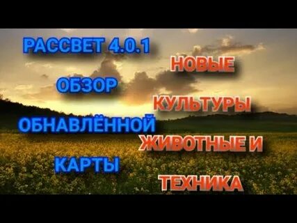 Рассвет тест