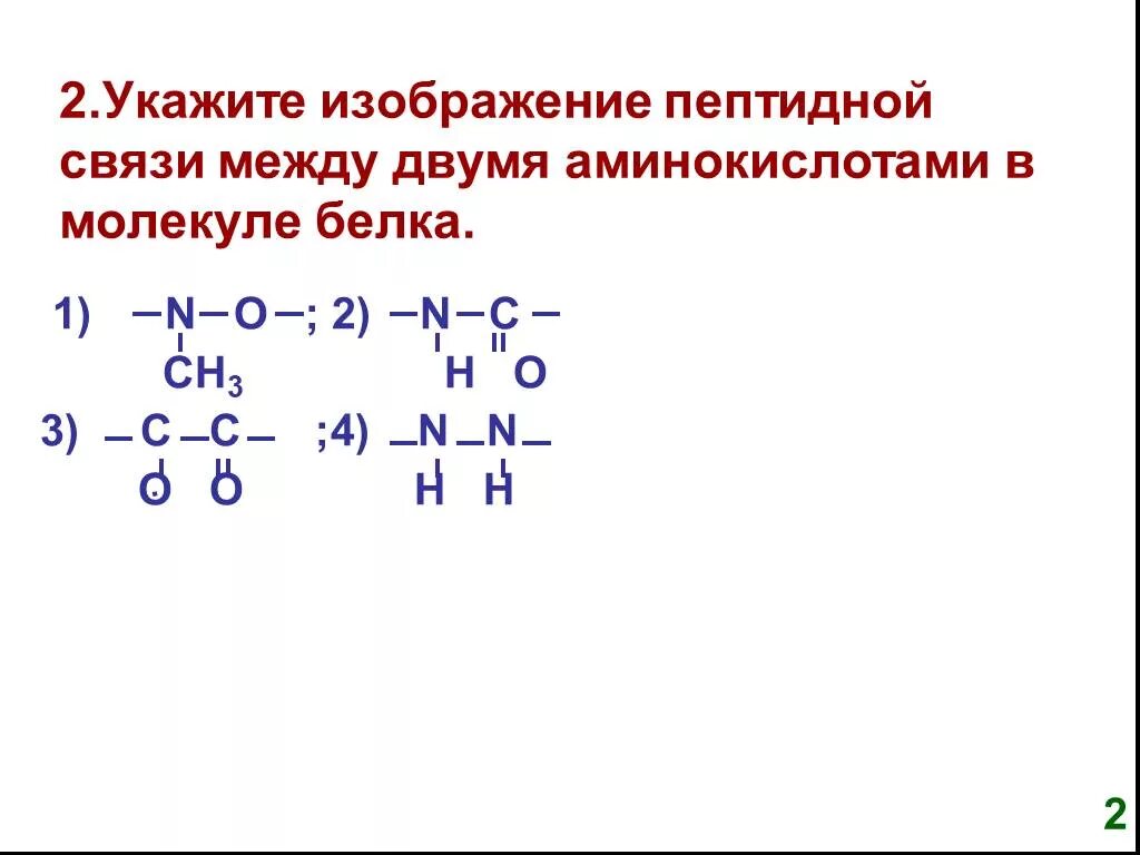 Укажите пептидную связь. Связи между аминокислотами в молекуле белка. Пептидная связь между двумя аминокислотами в молекуле. Пептидная связь между аминокислотами.