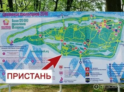 Цпкио расписание