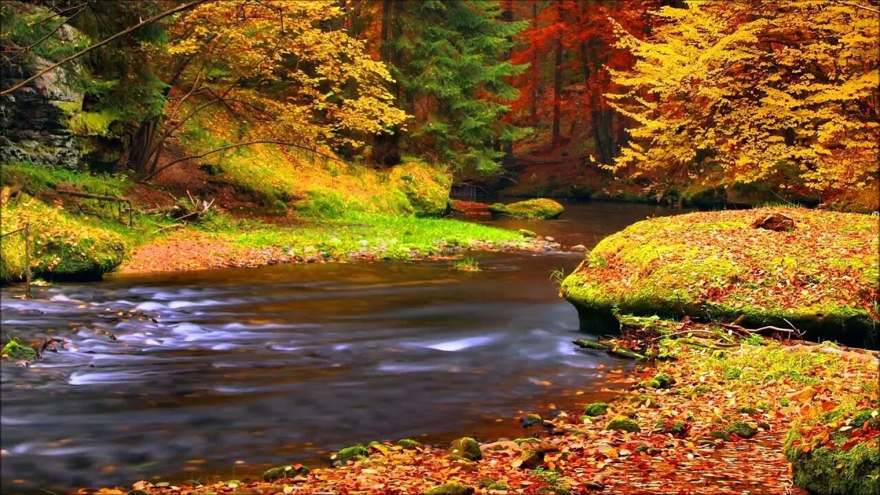 Осенний пейзаж. Природа осень. Осенняя природа. Осень. Осенний лес.