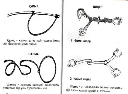 Қарт адамдар арасындағы жыныстық қатынас видеосы