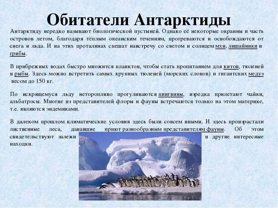 34 антарктида география 7 класс. Сообщение пол Антарктиду. Антарктида интересные факты информация. Сообщение о Антарктиде. Факты о материке Антарктида.