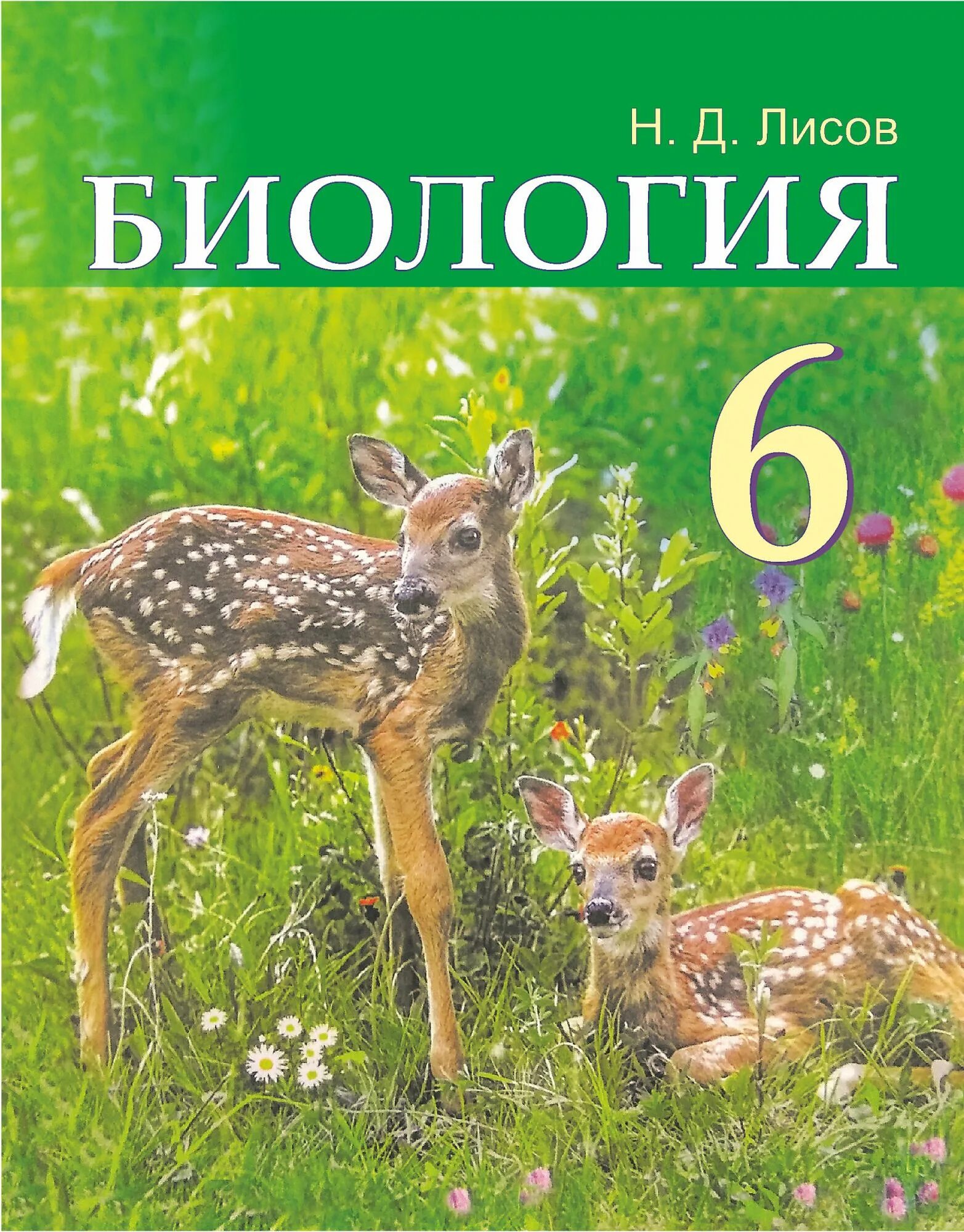 Книги учебники по биологии. Учебник биологии 6 класс РБ. Биология. 6 Класс. Учебник. Книга биология 6 класс. 6 А биология книга.