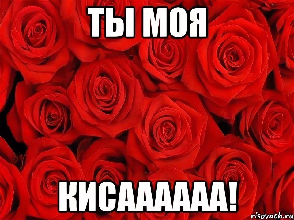 Мем девушка с розами могут ли белые розы плотить нологи, Мем Roses Рисовач .Ру