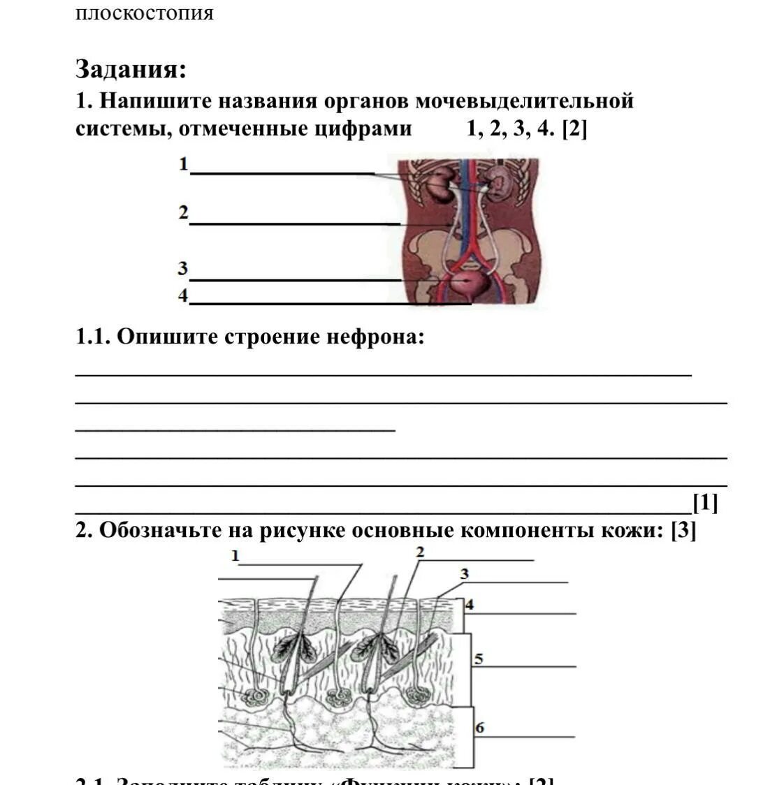 Сор 3 биология 9 класс. Сор 9 класс биология. На примере органов кролика выпишите названия органов.