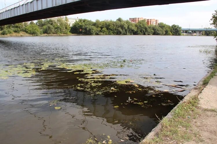 Вода в реке сура. Исток реки Сура. Исток Суры. Река Сура загрязнена. Река Сура.