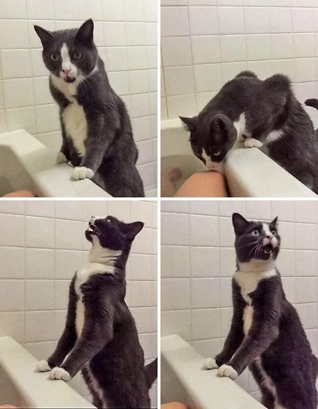 Опять помощь. Опять помощь