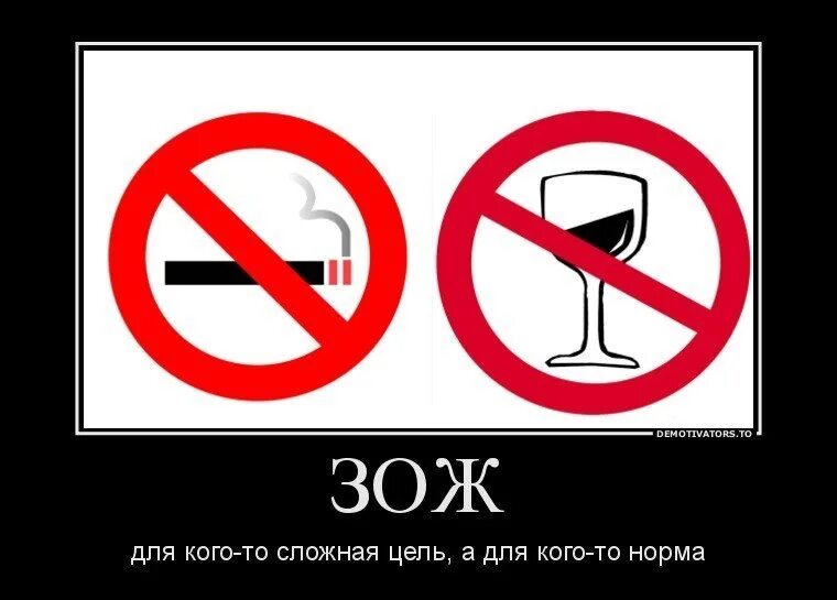Смешное про зож. Шутки про здоровый образ жизни. здоровый образ жизни демотиваторы. зож смешное. зож прикол.