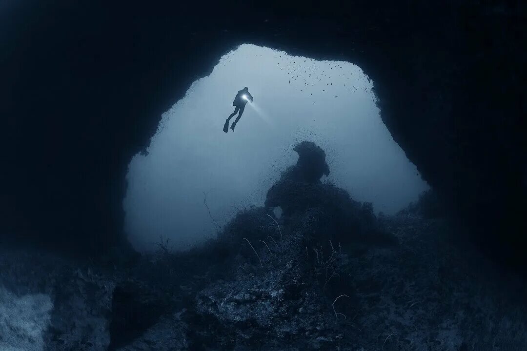 The deep sea на русском. Neal fun deep sea. Missio bottom of the deep blue sea. Deep sea 3d. Deep sea 3d.