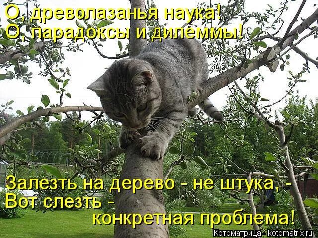 Предложение со словом лезть