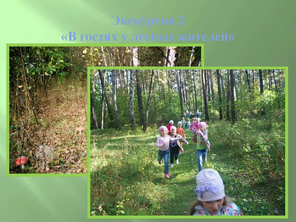 Какое отношение к природе можно назвать ответственным. Ответственное отношение к природе. бережное отношение к природе. ответственный человек к природе. о бережном отношении к природе.