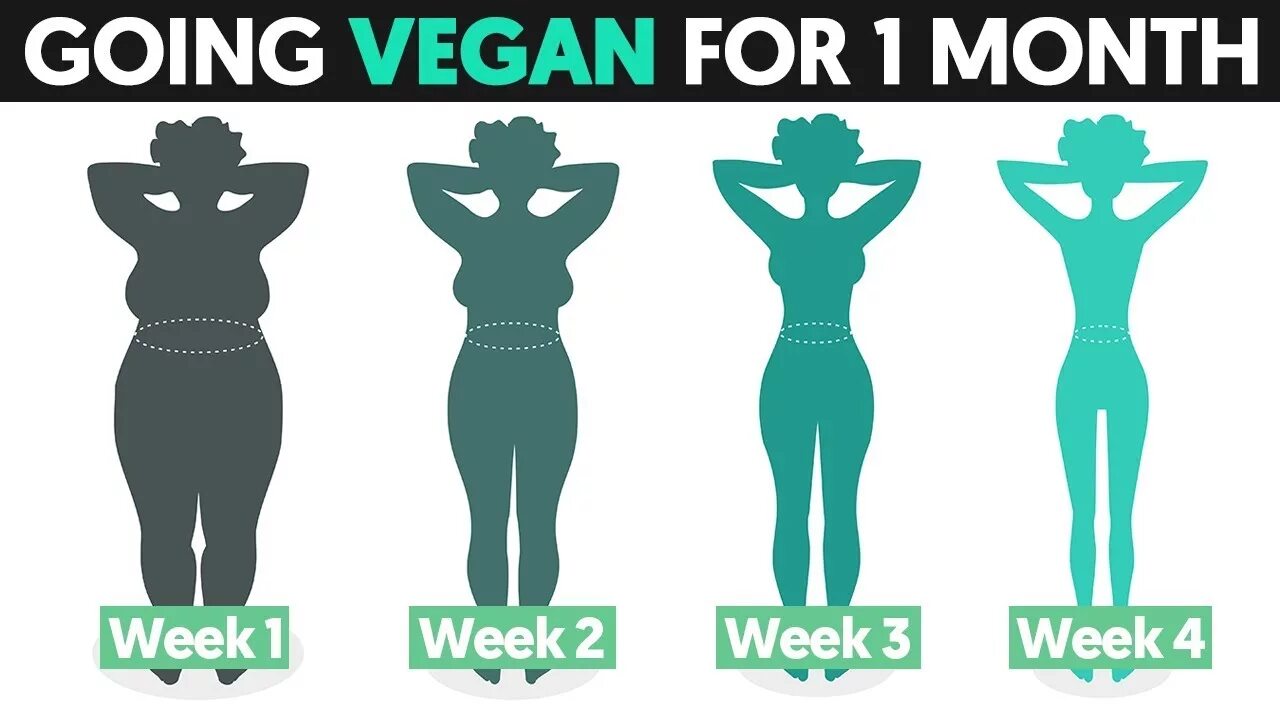 Happen your go. Go Vegan. Наклейки go Vegan. Go Vegan go freegan. Body Boom – go Vegan.