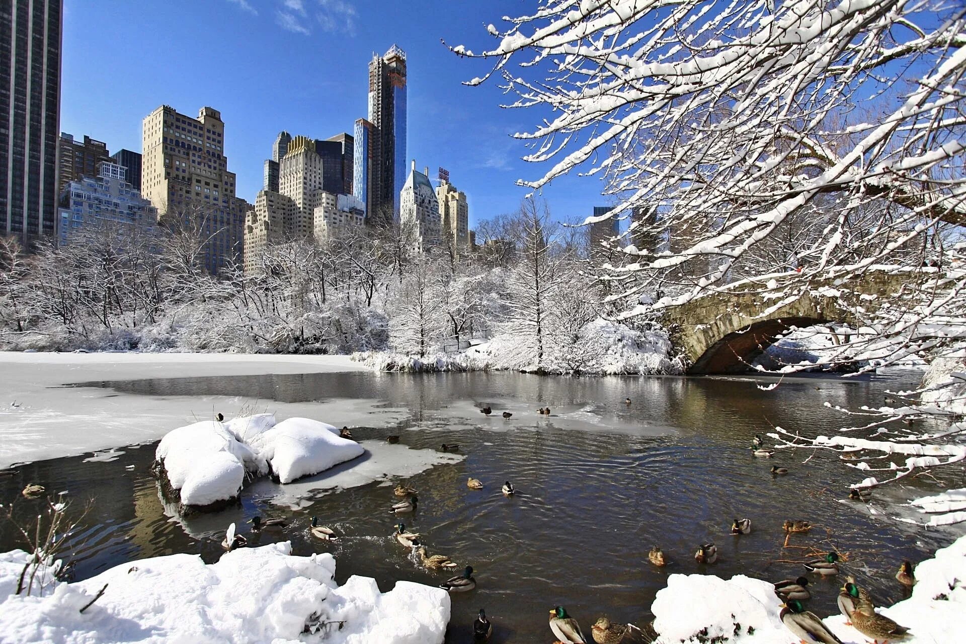 Америка зимнее время. Центральный парк Манхеттен Нью Йорк зима. Зимний централ парк Нью-Йорк. Центральный парк Нью-Йорк зимой. Нью-Йорк Манхэттен зима.