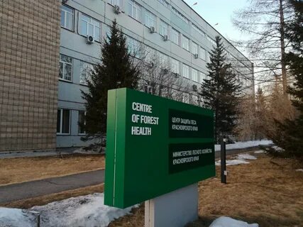 Сайт млх красноярского