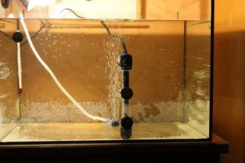 Сколько отстаивать воду для аквариума