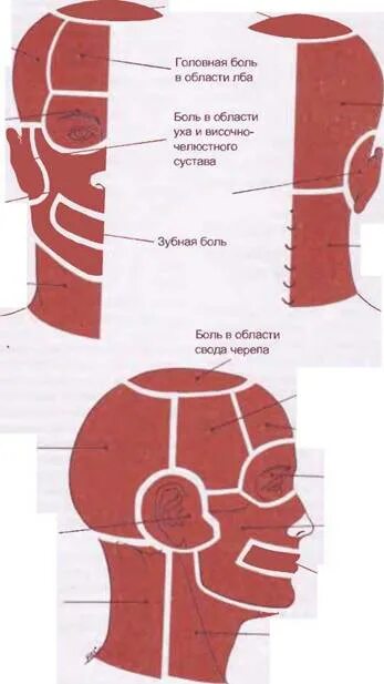 Болит затылок справа. Болит затылок слева.