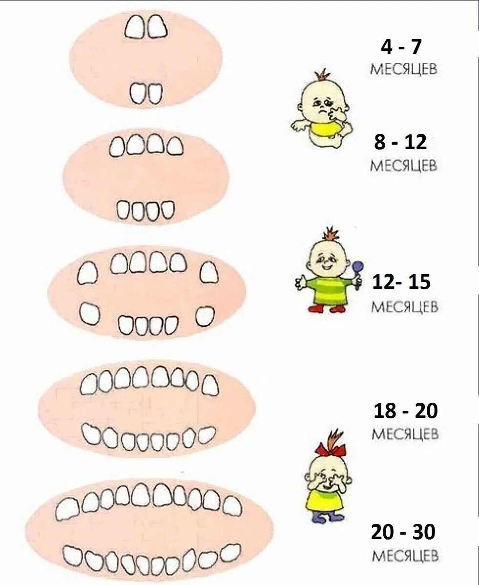 Режутся зубы 2 года