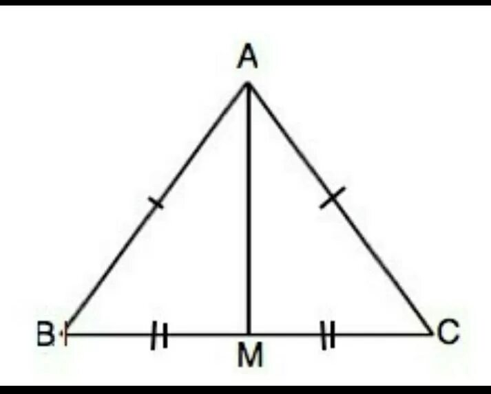 Треугольник ABC С медианой am. Треугольник ABC равнобедренный BC=24 см. Медиана к основанию в равнобедренном треугольнике. Равннобедренный треуголник мидиана.