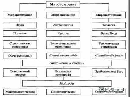 Составьте схему используя все термины