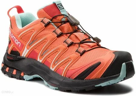 Salomon xa pro 3d v8 gtx