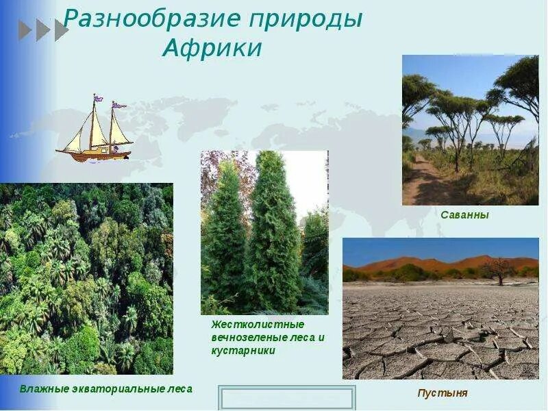 Разнообразие природы африки 7 класс презентация. Разнообразие природы африки. влажные вечнозеленые леса и кустарники. разнообразности природ в африке. разнообразие природы африки 7 класс.