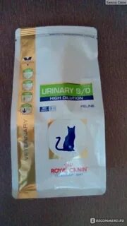 Корм для кошек royal canin urinary