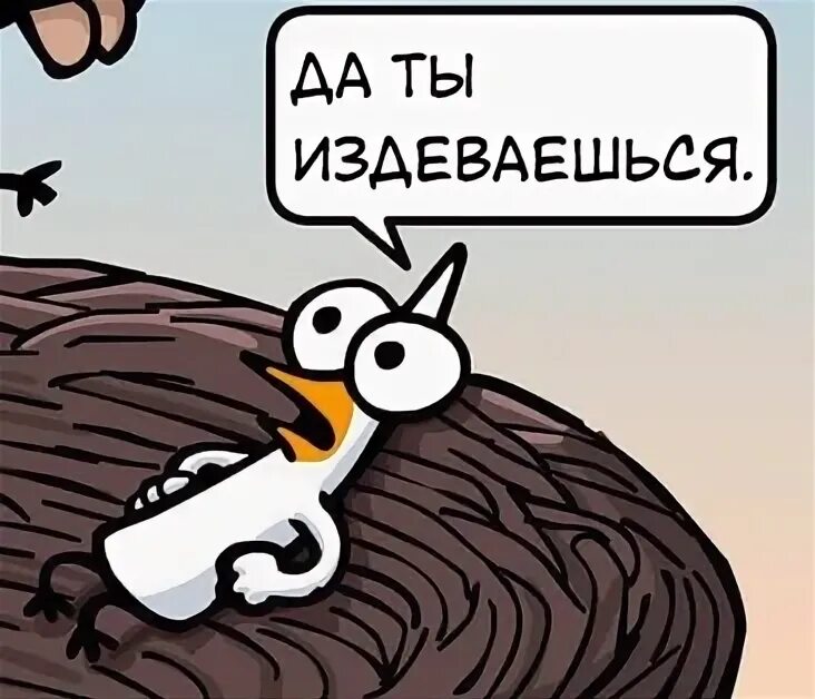 Ты издеваешься. Да ты издеваешься. ты издеваешься картинка. издеваешься смешные картинки.