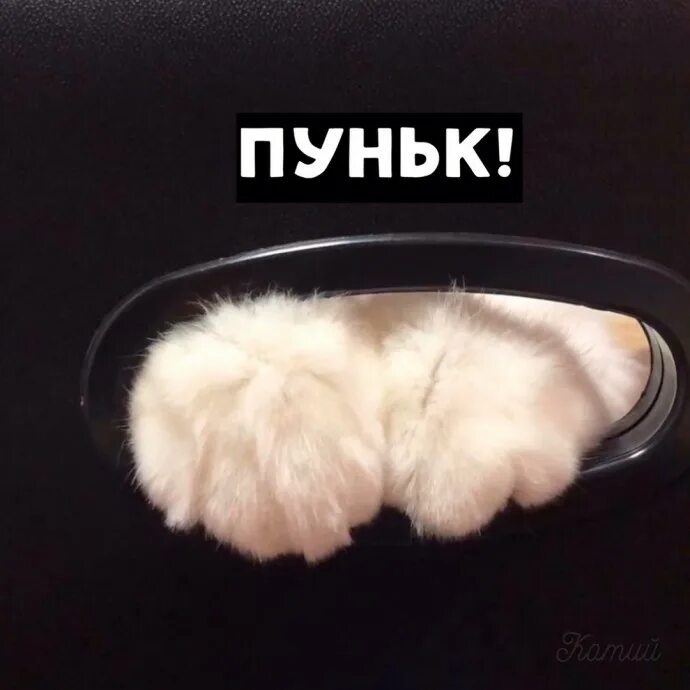 Пуки мало. Пуньк. Пуньк котик. Пуньк пуньк. Пуньк коту.